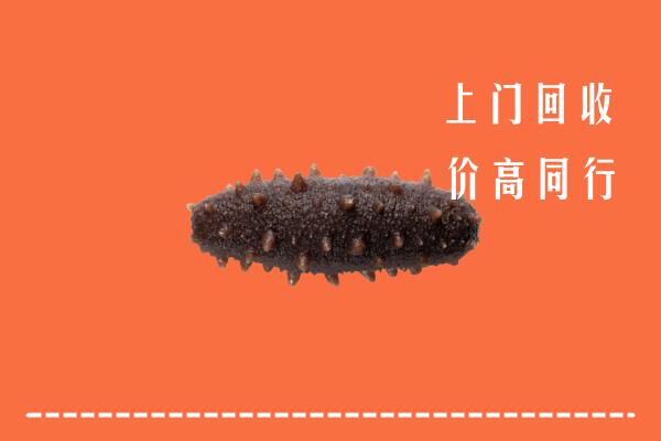 高价求购：南京六合回收海参