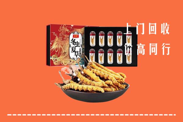 南京六合回收虫草